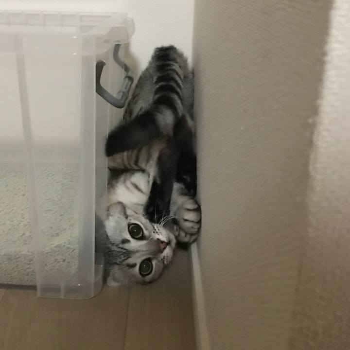 47e23768 90ba 47fa b781 b1b62b920664