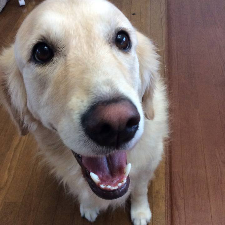 47e27aa6 0149 460a 89f6 f7f0d098f6d5