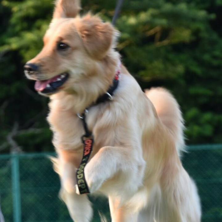 47e281e5 81f2 495c b33a ad3609d037c4