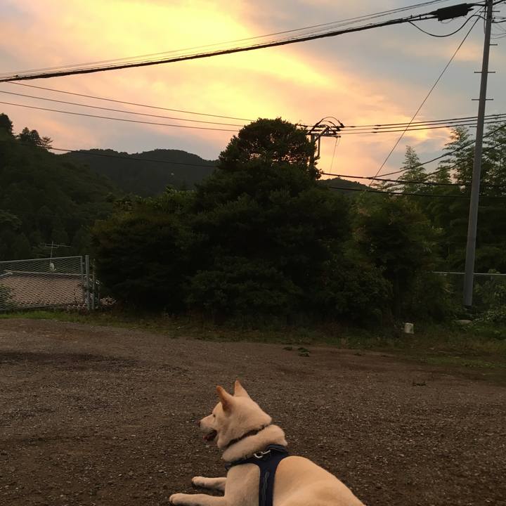 47e2c2b1 dd57 4102 ae36 078015c7fd86