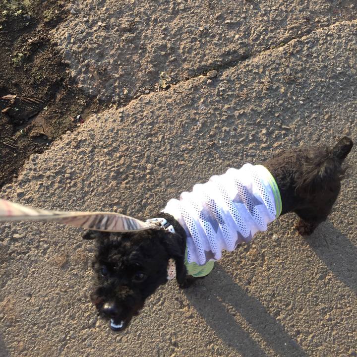 47e320f8 7655 4a9a 89b6 320fc19cc71f