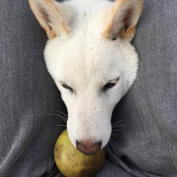 47e3841b 3e31 4694 9e2c 9ec7bf0ee1dc