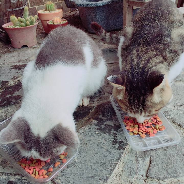 47e39b46 aef3 4373 b32c c8d64eb8e1da