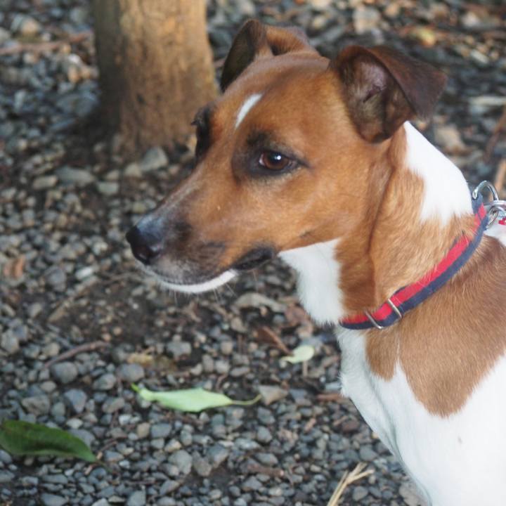 47e44ac8 6dac 4631 a54b beff2c991b6e