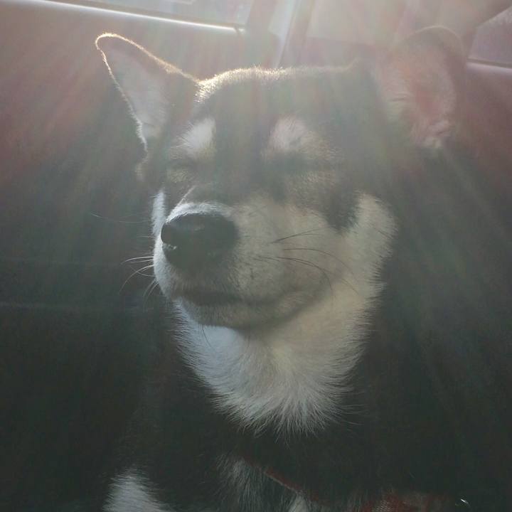 47e4ade0 fe4a 4d26 aeea 3ed5dbe444ba