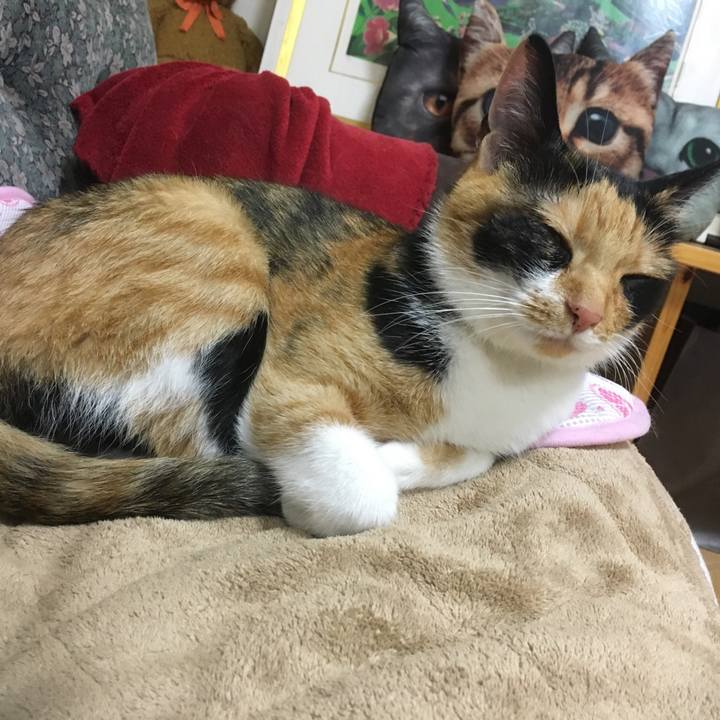 47e4b358 b785 4f8e 84c1 777d22ef34dd