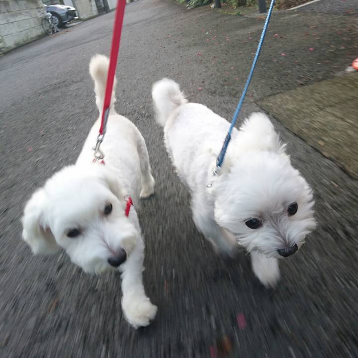 47e52d9a fab1 4a8f bf0a 7d80e8ac8f23