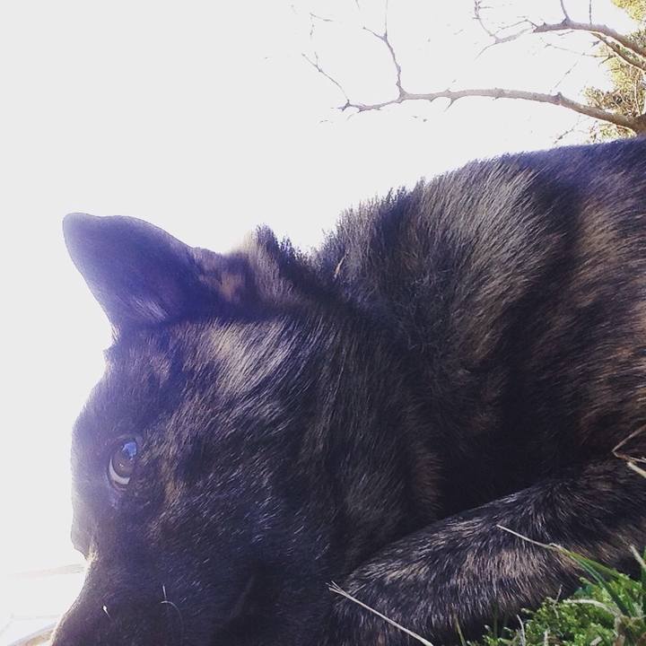 47e5898c 0704 42ea 9afd beb9d6c45bf0