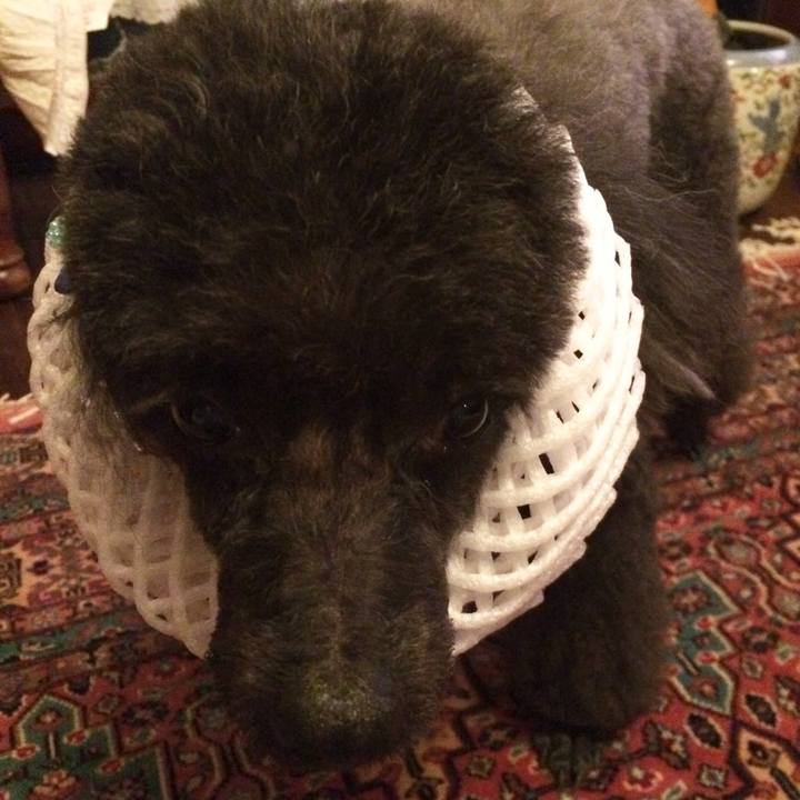 47e5e651 a602 4bb9 ab7a ee35dc377146