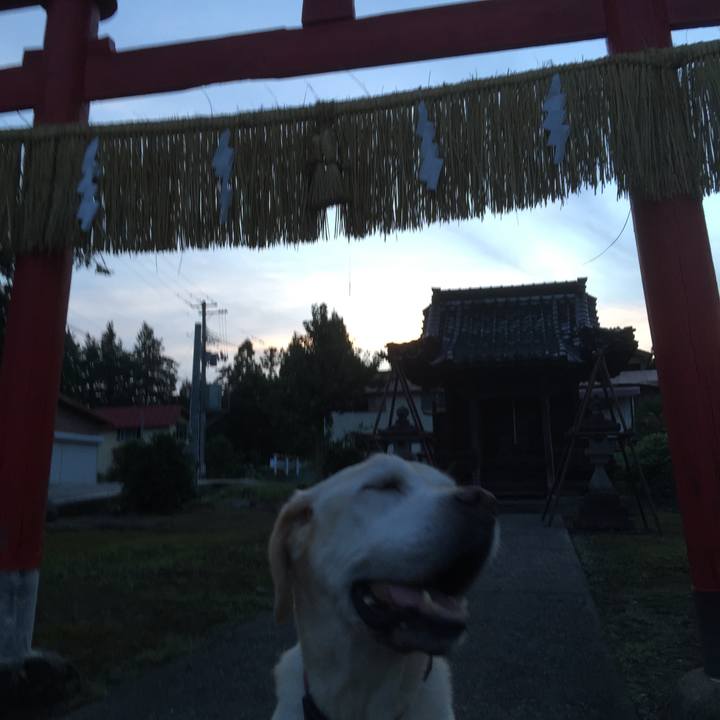 47e65303 6d2c 4f79 be84 29d2b745718e