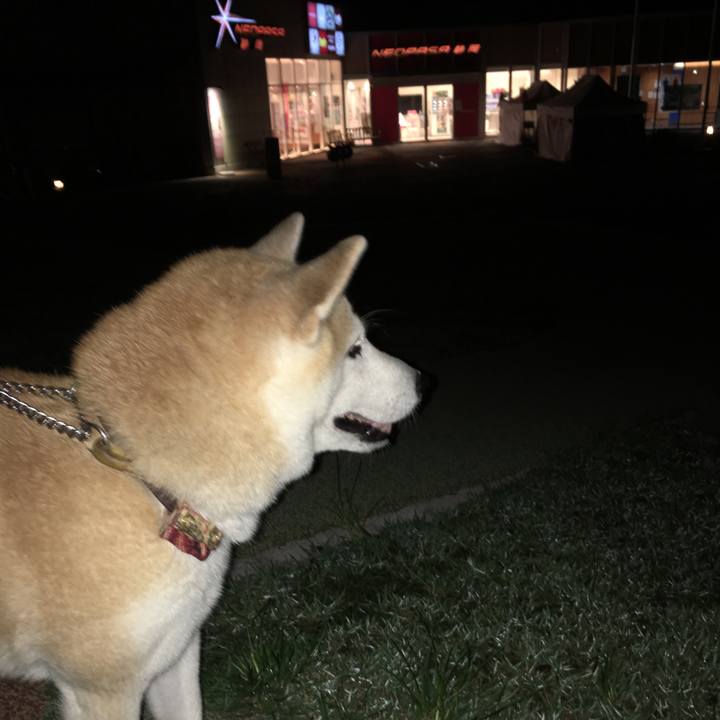 47e65af6 48c9 4456 b6fd 78e18c6789f8