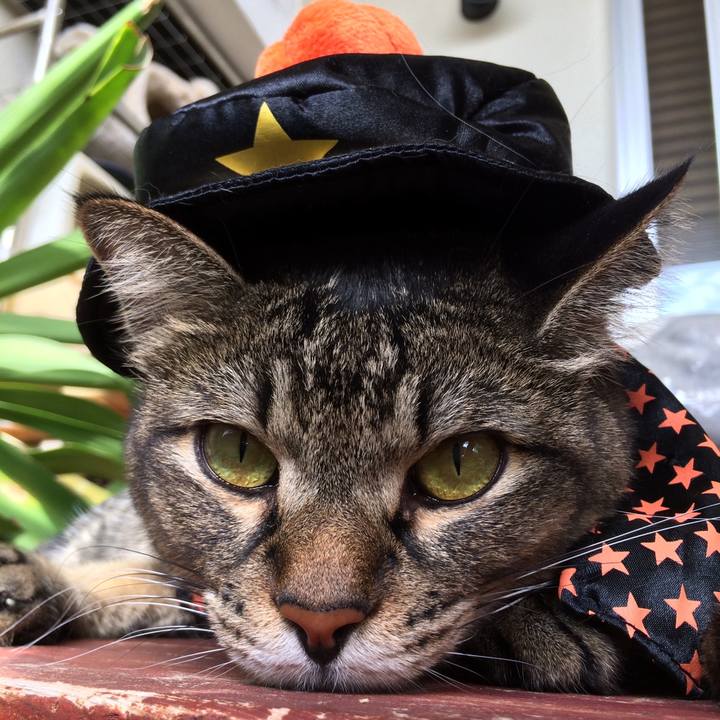 47e6c1df ea21 43f3 b60f 5636d3a1886f