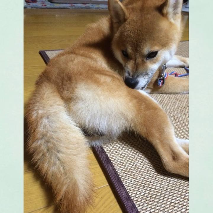 47e71ffa 7e94 425e 9fc0 2aec7fa35433