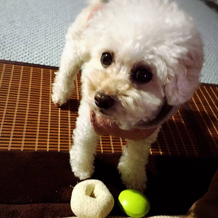 47e876bf b020 4565 a60d ceee0b0c9613