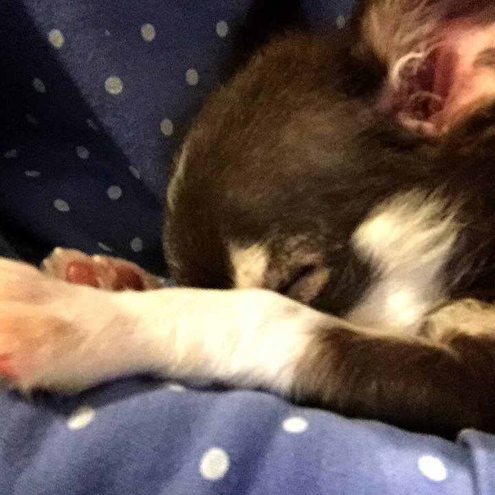 47e93f2f 461f 45f7 81d9 c96ae04b05e2