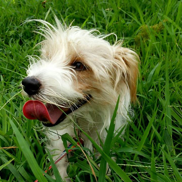 47e965b5 f105 4a42 8a21 7989b08c95f3