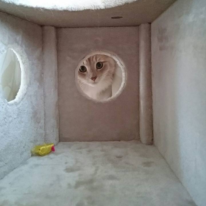 47ea725b 8922 4fcc 82ba f32d01871e90