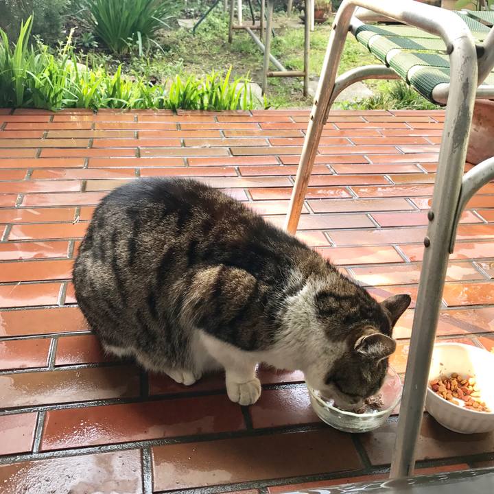 47eb1d00 627f 4340 be62 da2527210c55