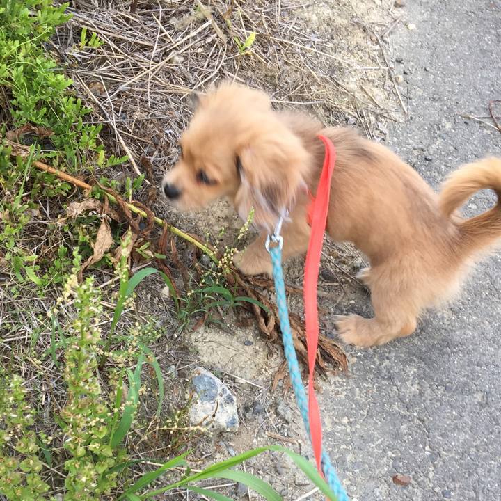 47eb6b49 a651 47cd b295 aac4dd9f13a5