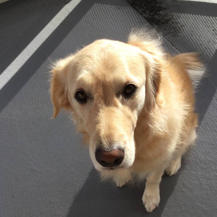 47ec888b 8e0f 45d2 909b 2ef873cdbea5