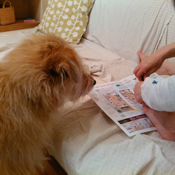 47ecaa22 91e8 4f9c a7f1 f444c35be88f