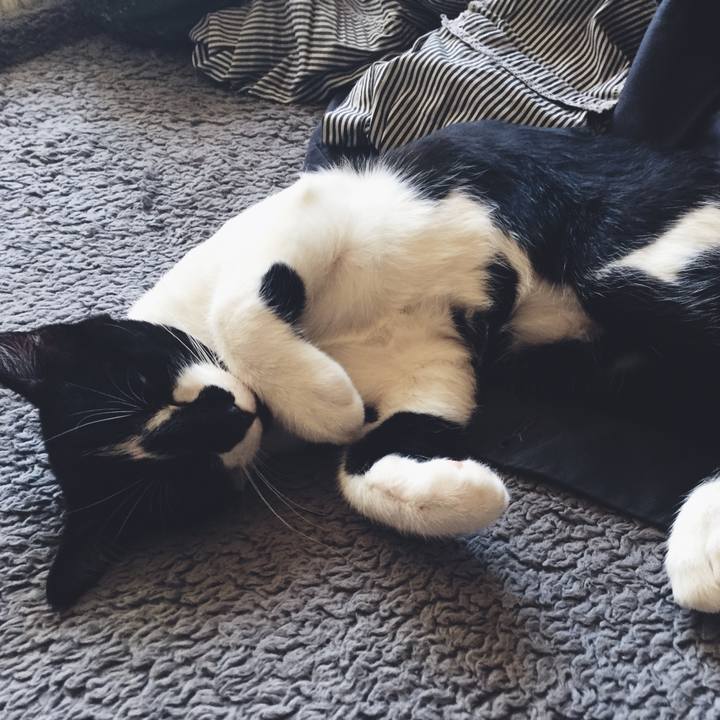 47ecfd41 5a20 4487 8c31 dccc9a60abf0