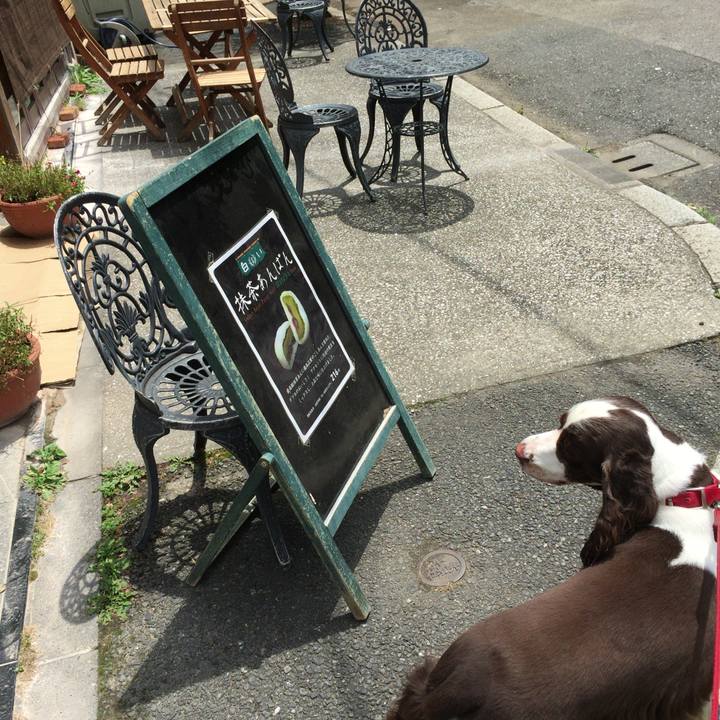 47ed4aca ff33 41cc afd5 4375df10281d