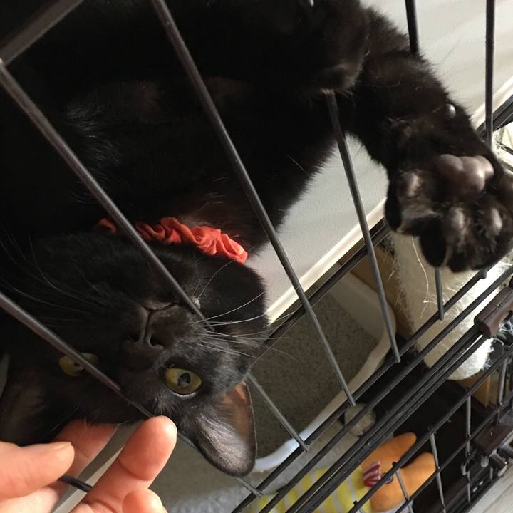 47ed609b 74d5 4a99 a6c3 433d44792f73