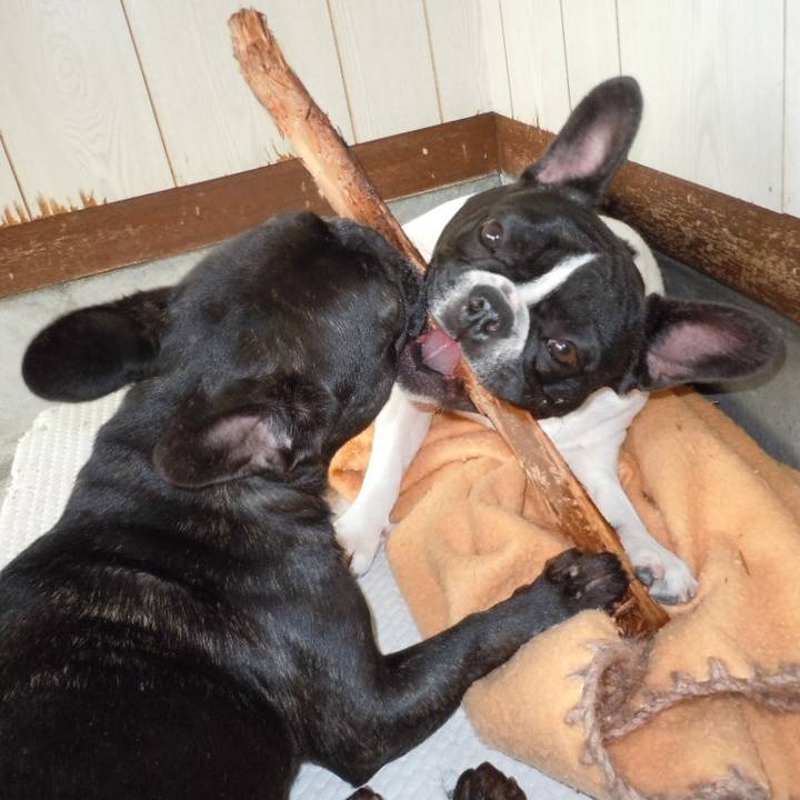 47edf770 a04c 4f7c b8ff b449d35ab449