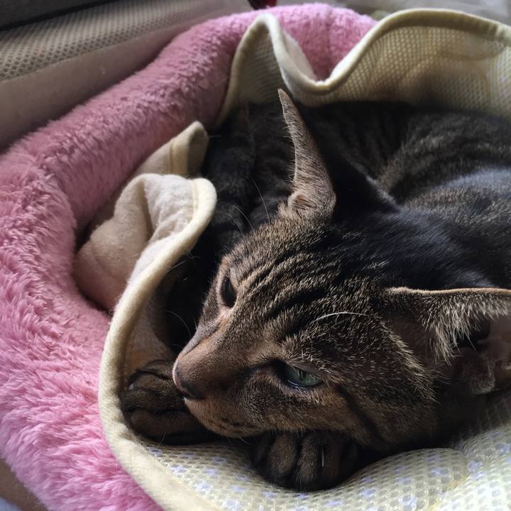 47ee66d0 13e1 48ba 8e57 e529ea1f0331