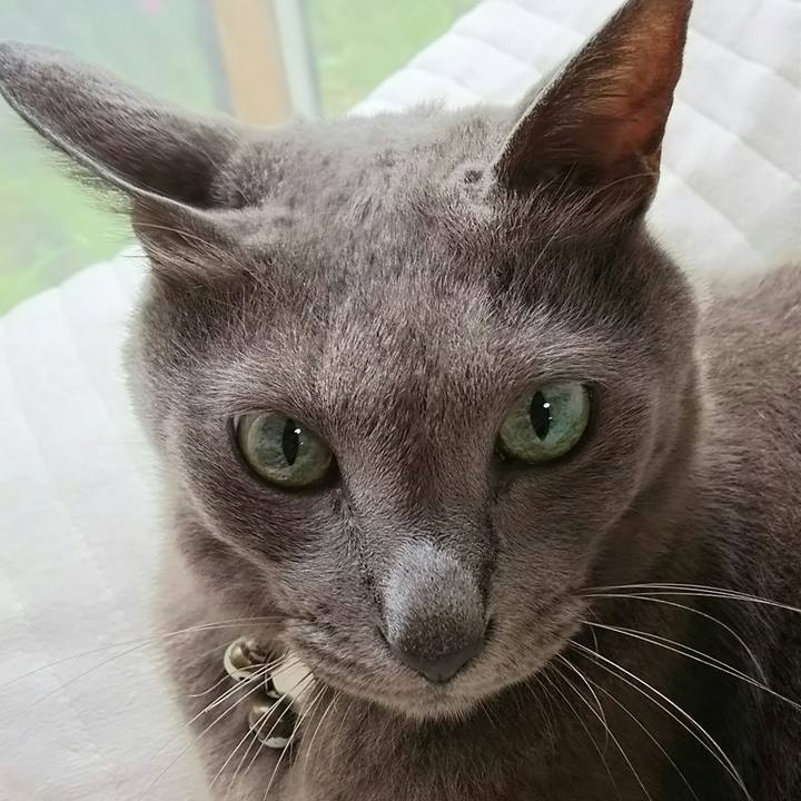 47eebc94 7c06 4df7 957c d77dd4bc8015