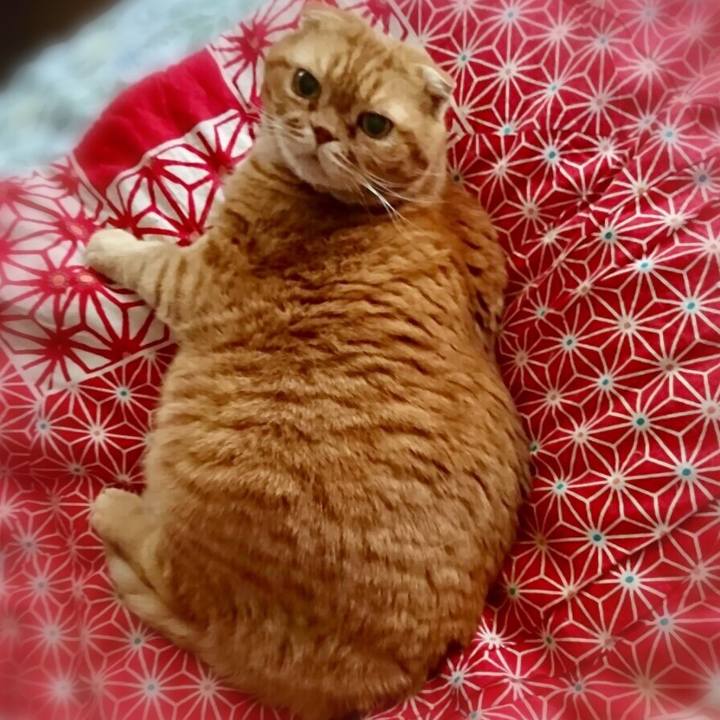 47eec64e b195 4d14 93ec f009015e0186