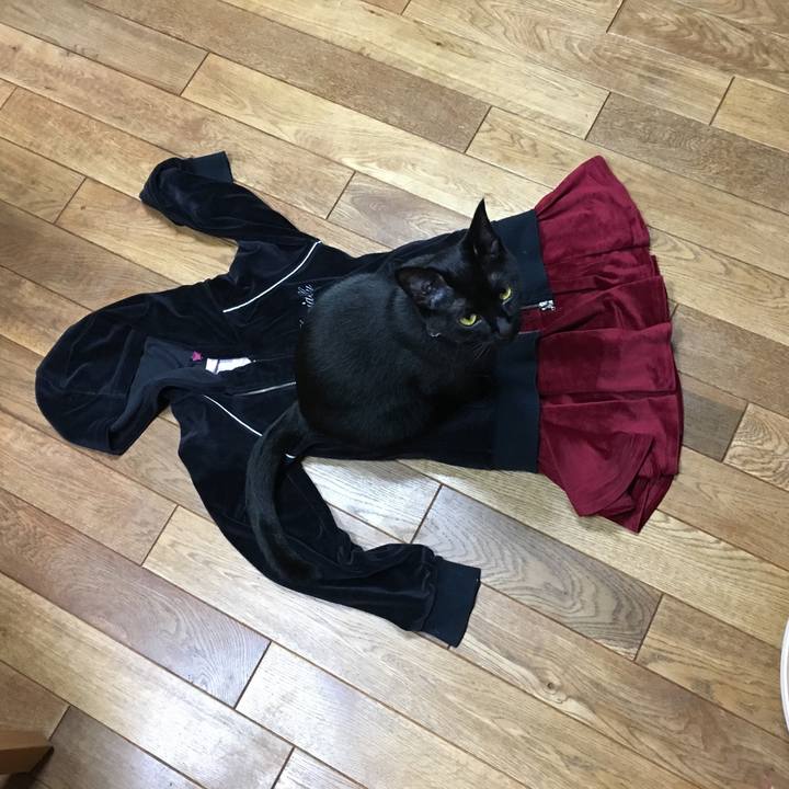 47ef194b bdfd 4f1d b262 4463362991c0