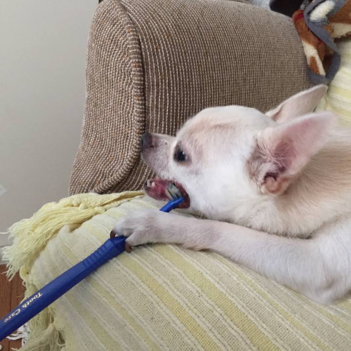 47ef2c47 9b05 4b10 8fa0 698f54c35f0e