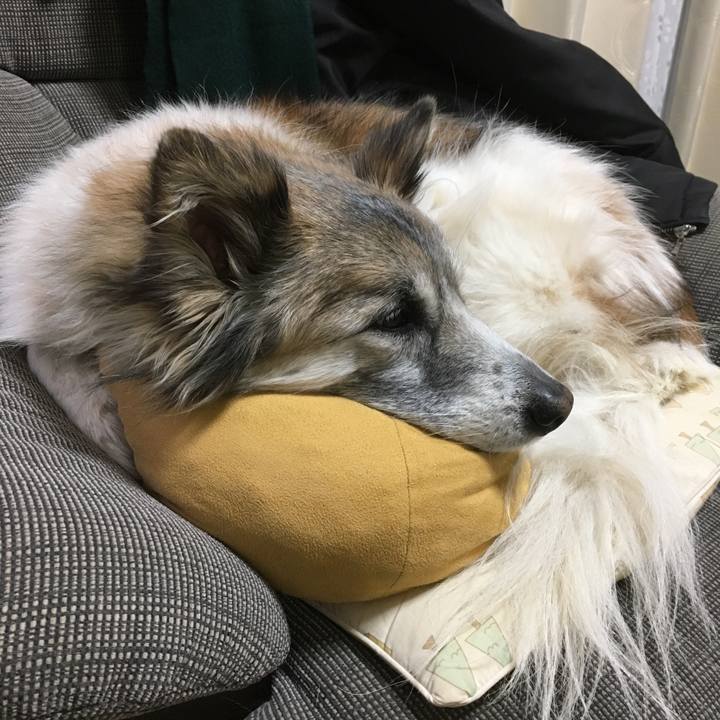 47ef67de d147 4d21 9957 8d09e9d083c5