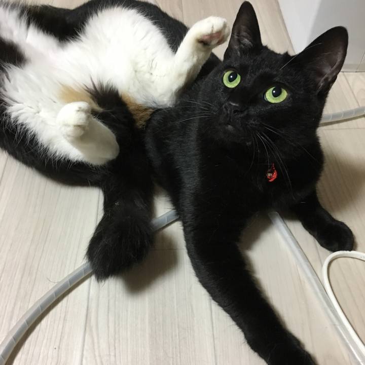 47ef99f1 e05b 4434 9c4d 12350c6c1a3c