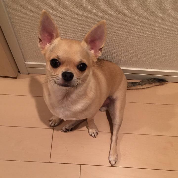 47efa6b5 691b 4ee5 8c2d 4014f45cbb01