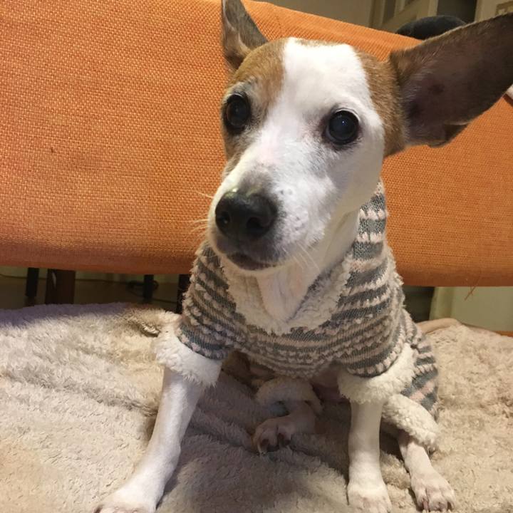 47f0417b d40c 4209 aa6b 1bc13558dd62