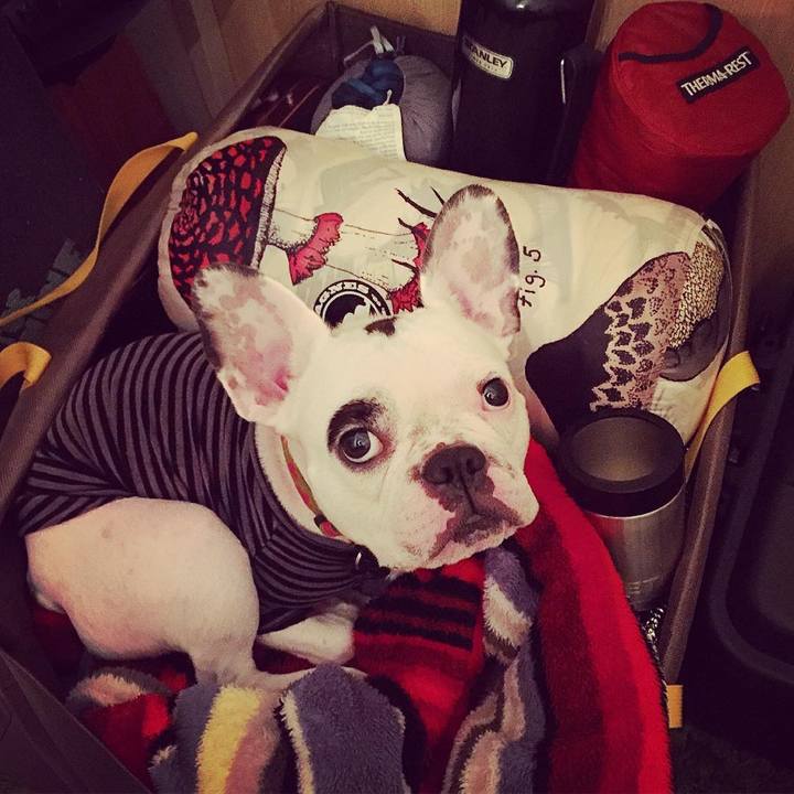 47f04b99 6216 4fad baa6 64583f04ed67