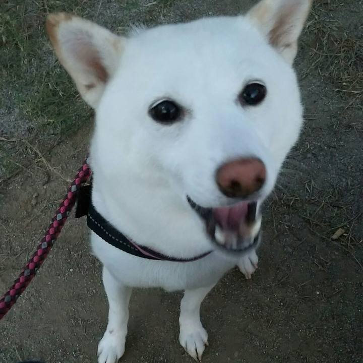 47f087ee 4b2b 47b0 b24f 80f3c47b36a2