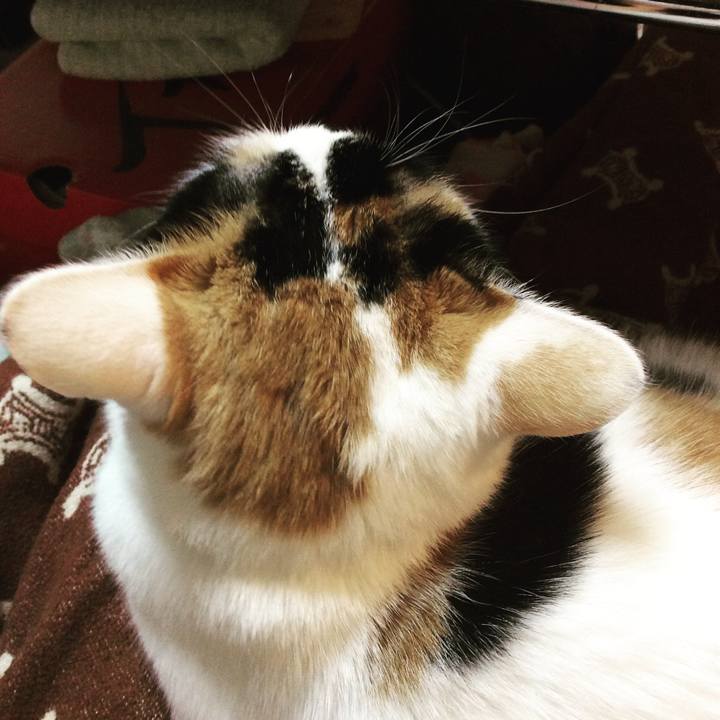 47f099bb ad4d 475f a480 fdb224df8e5b