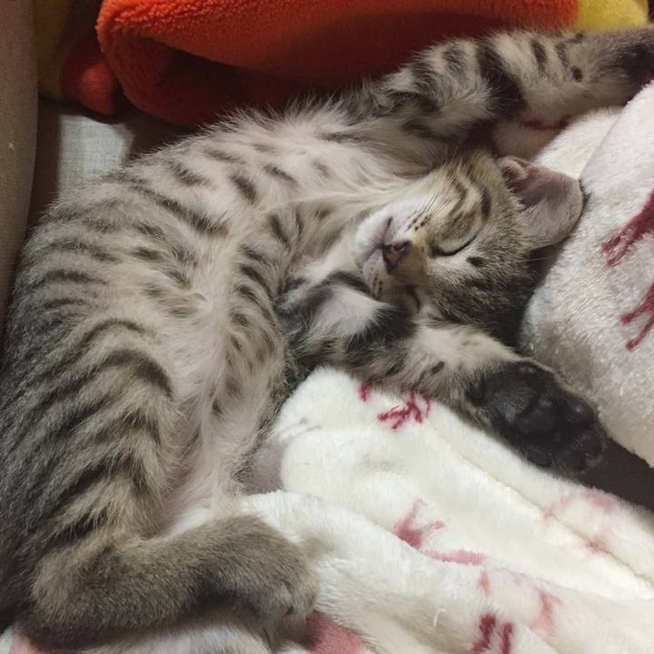 47f0adff 2e36 4b22 af09 1e9dbbcc7111