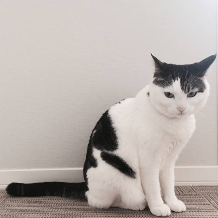 47f1ab63 0955 4088 ae17 123cfdf42ca9