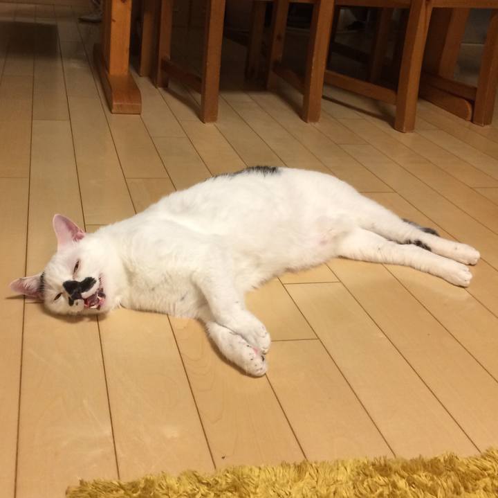 47f274eb 07f9 43af a843 3eff9372274f