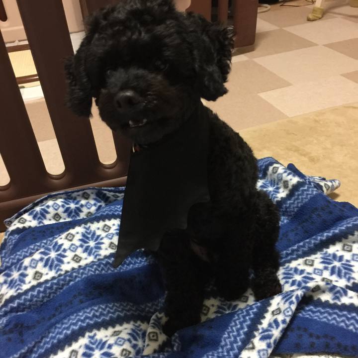 47f30a59 098a 472b 9efa f46cdce39134