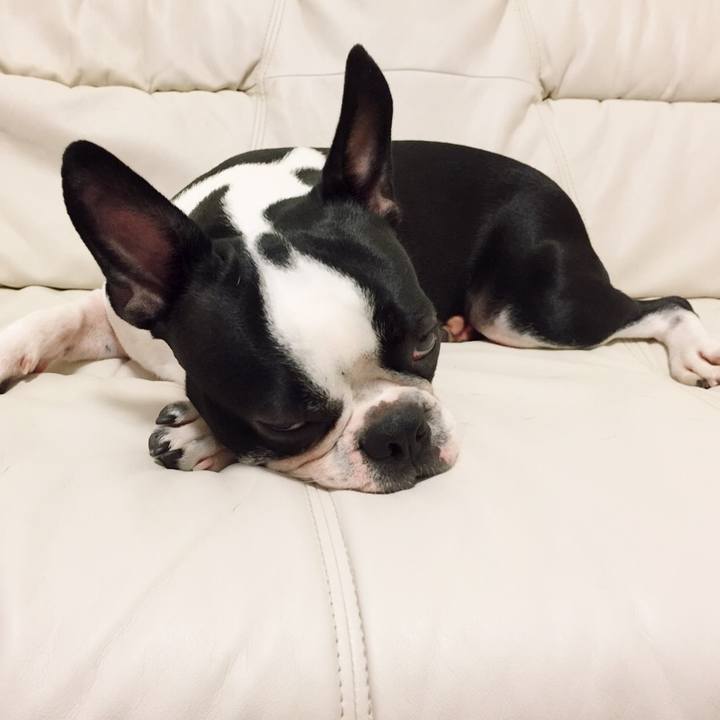 47f3f334 0865 411f 954f 61163a9a5272