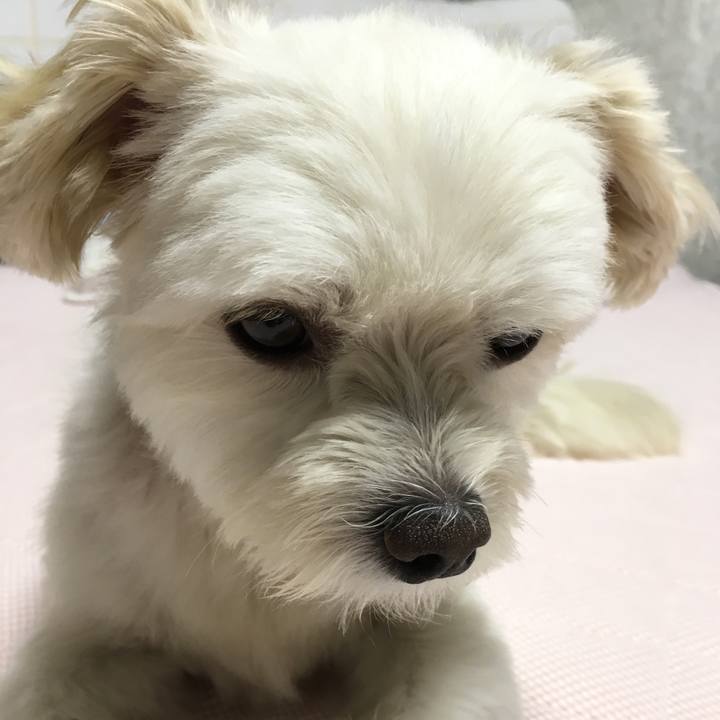 47f3fa02 4345 4452 b850 9e3d334286f3