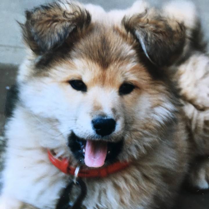 47f4a770 f905 45e5 a150 e793032fd862