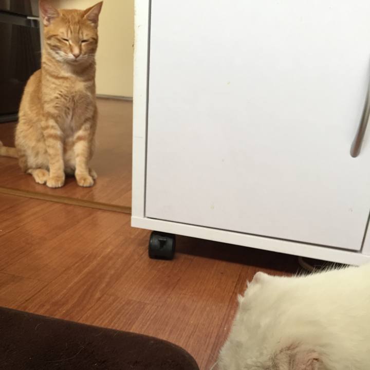 47f6f6cc d70d 4cb0 b236 f6e8c7ea180f