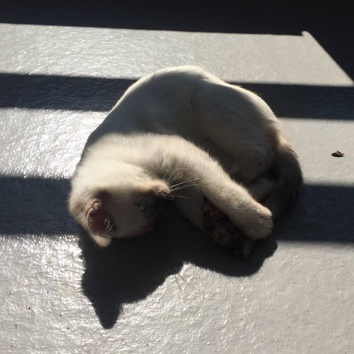 47f72b7b 0cda 440f b68d 92e85c1766e8